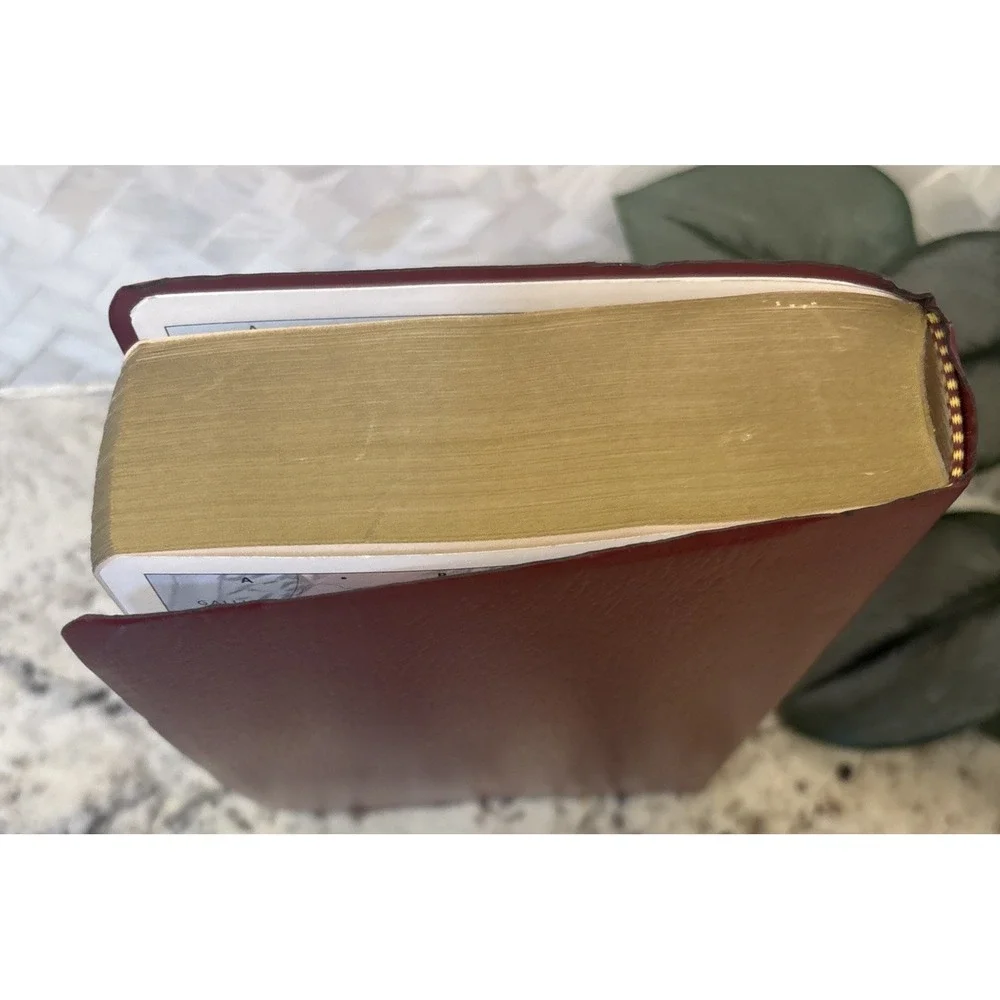 Zondervan Red Holy Bible With Helps‎ New International Version ZonderKidz